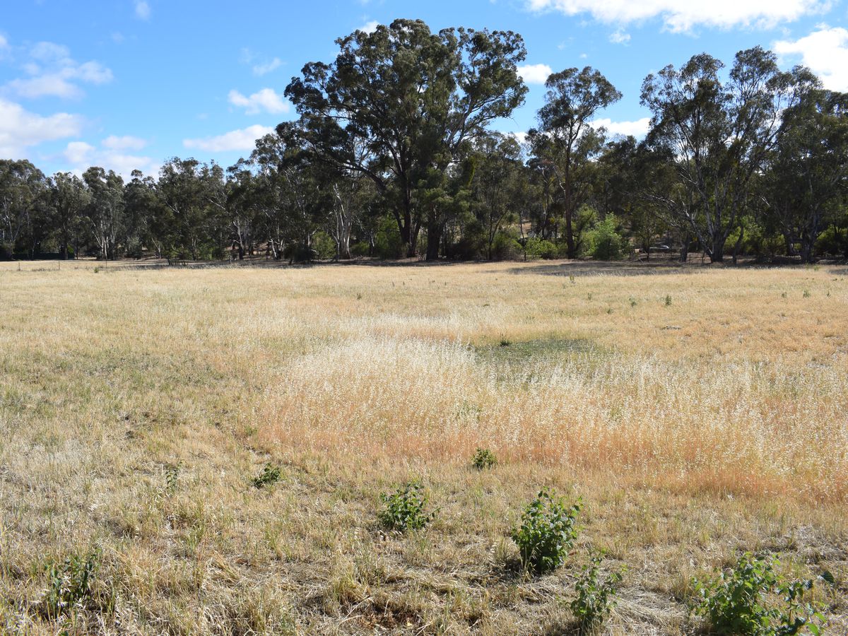 Lot CA 17, High Street, Wedderburn