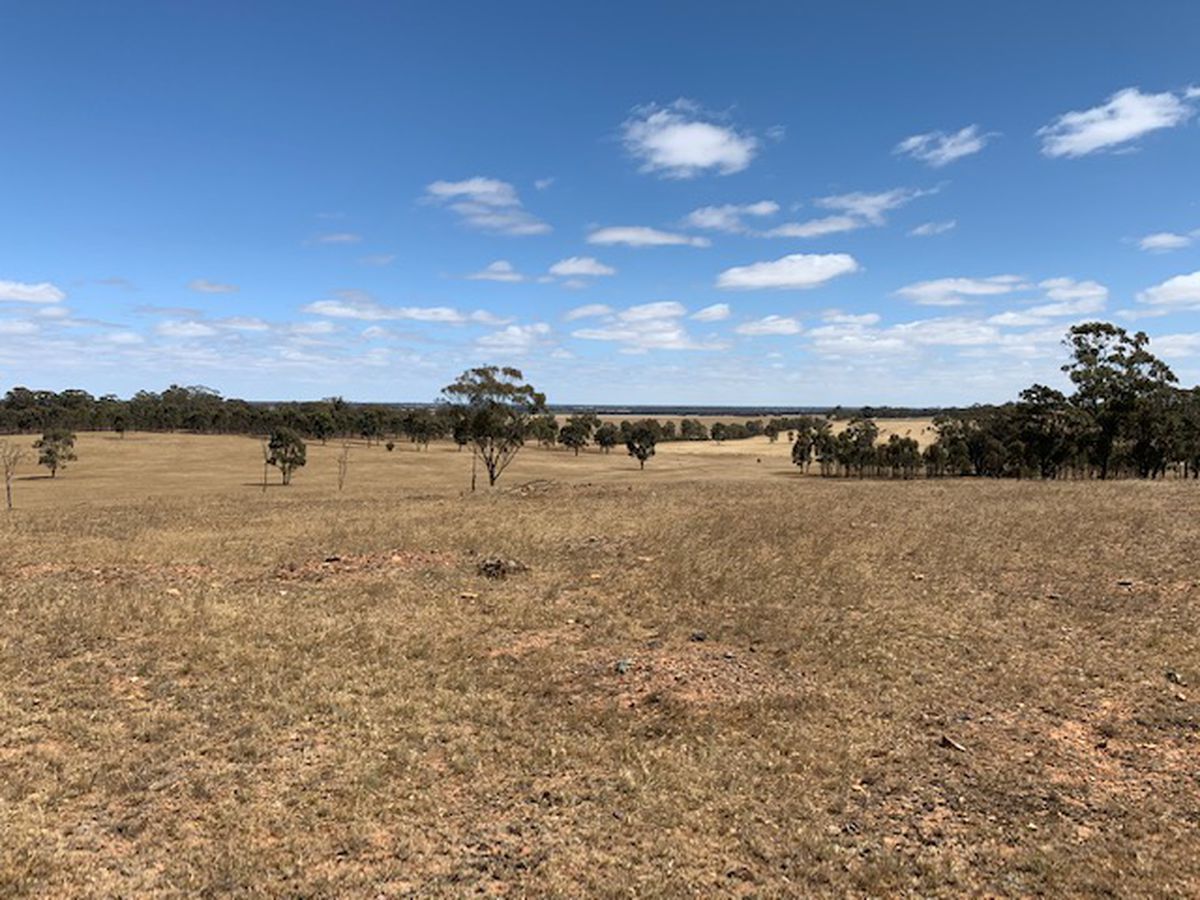 3176 Hanrahan Road, Corop