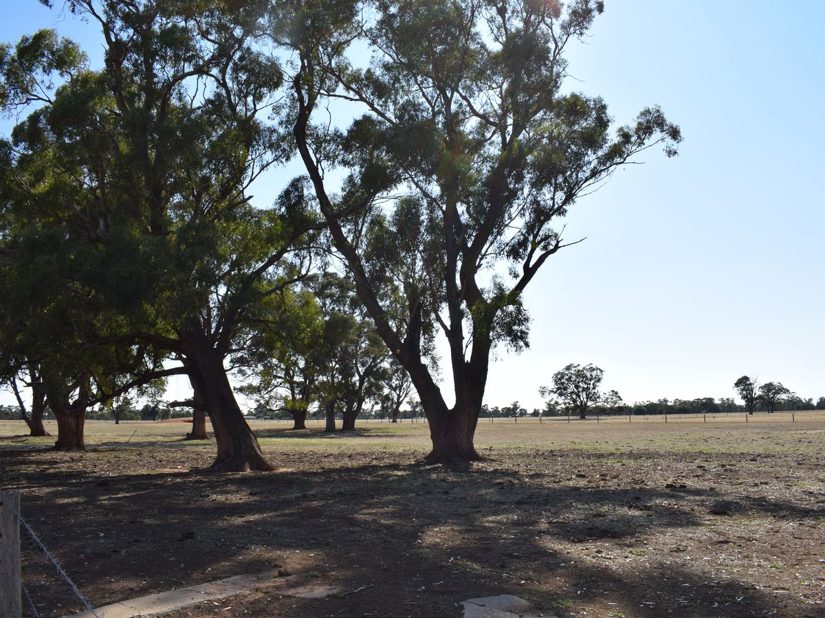 CA 5 BRIDGEWATER-DUNOLLY ROAD, Bridgewater