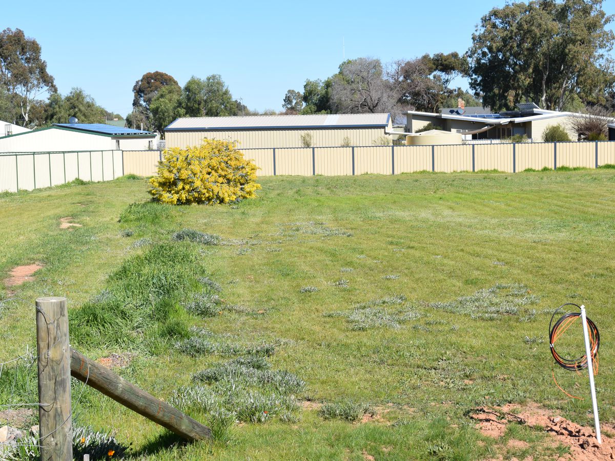 92 Southey Street, Inglewood