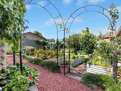 7 Amazon Place, St Clair