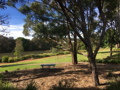 8 / 308 Mackenzie Street, Rangeville