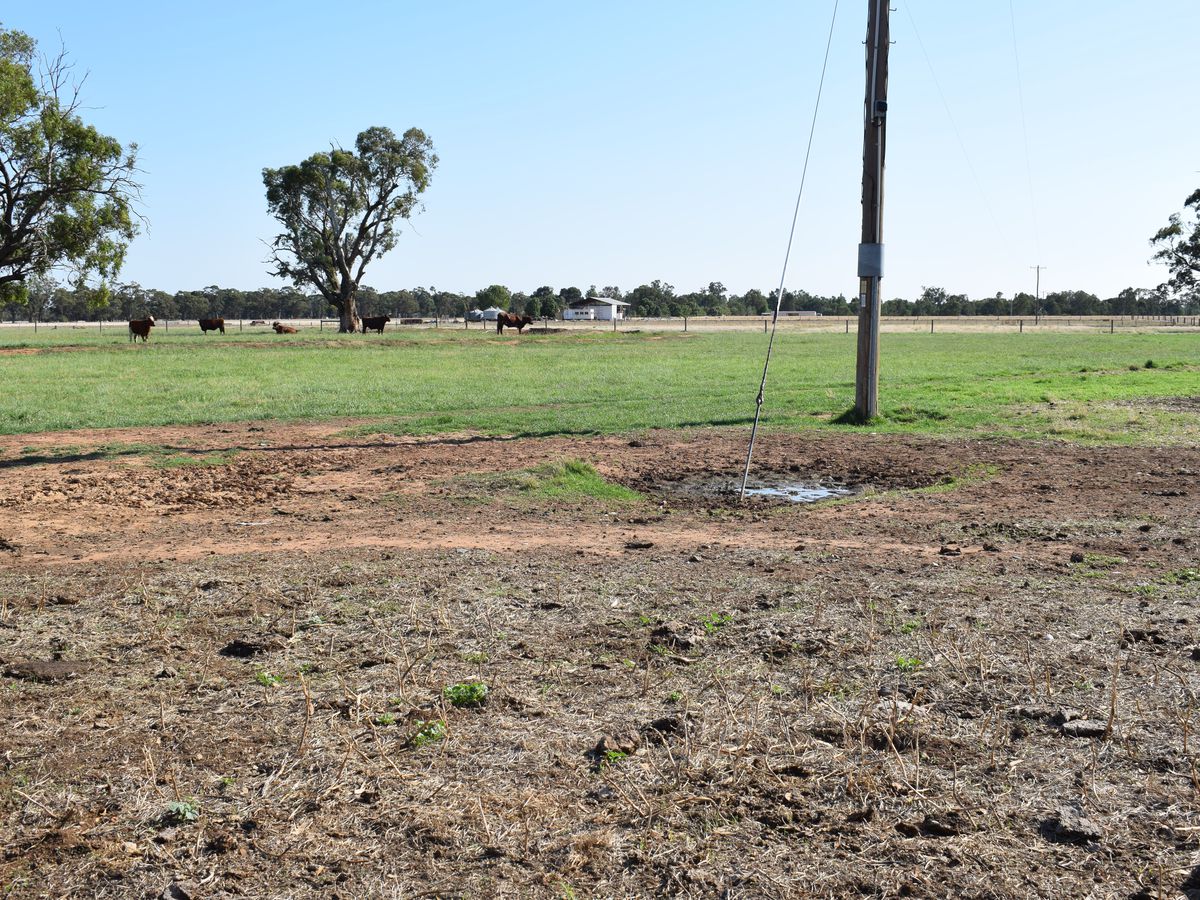 CA 5 BRIDGEWATER-DUNOLLY ROAD, Bridgewater