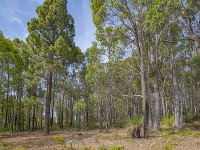 59 Carey Street, Nannup