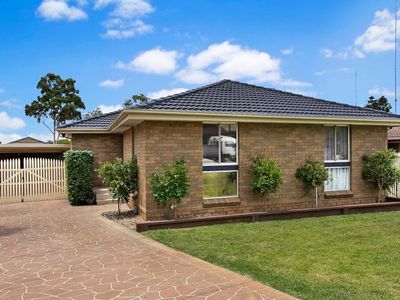 12 Lindwall Court, St Clair