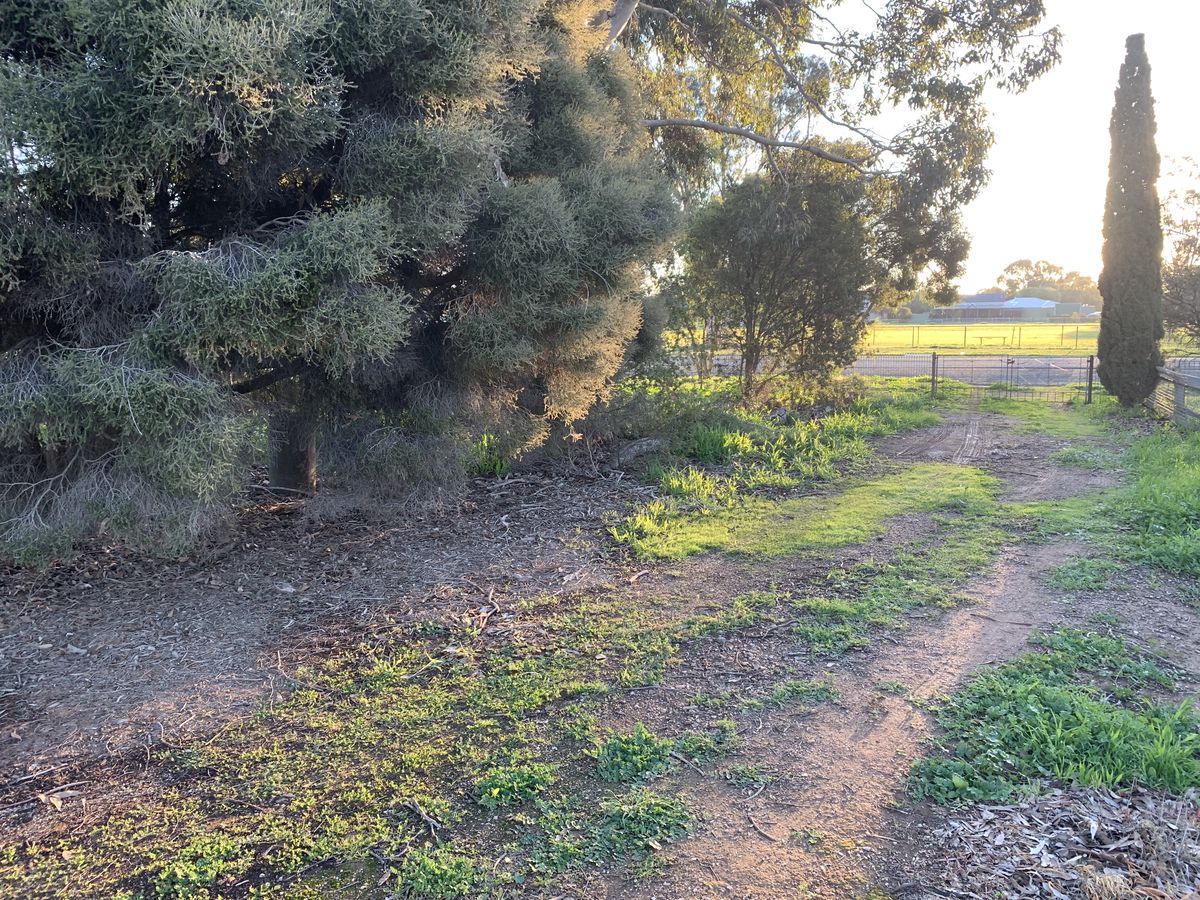 53 Edward Street, Rochester