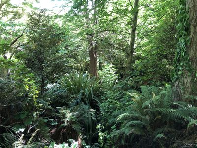 59 and 61 Wilson Road, Balclutha