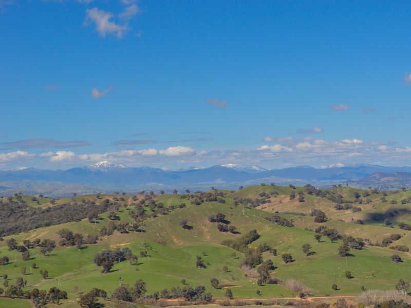 Lot 1, 66 Cliff Road, Bonnie Doon