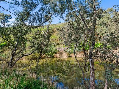 155 Yellow Box Road, Hilldene