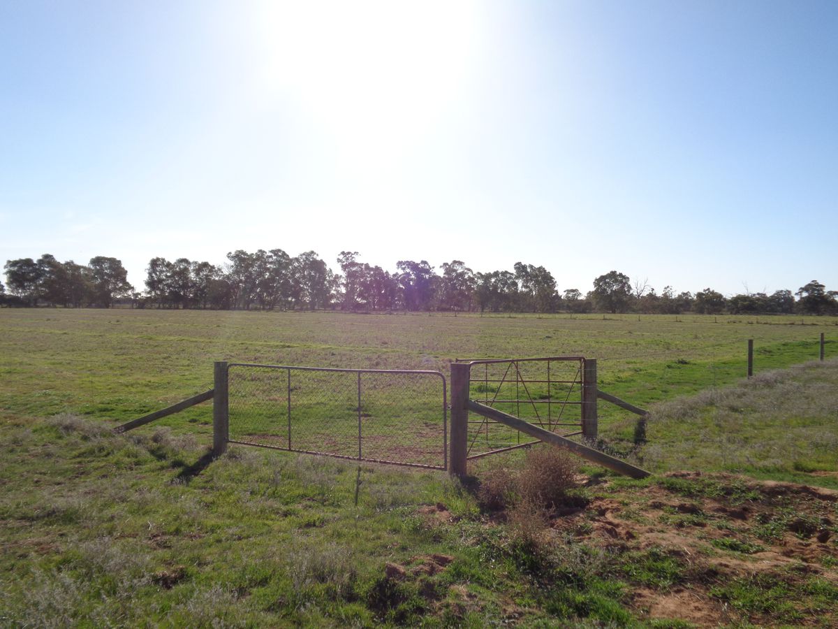 211 Torrumbarry Weir Road, Patho