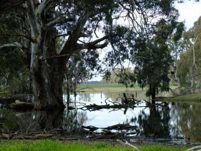 469 Bunganail Road, Nagambie